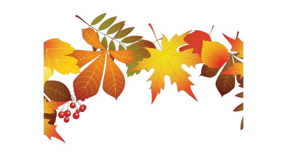 Download PNG image - Autumn Leaves PNG Transparent Image 