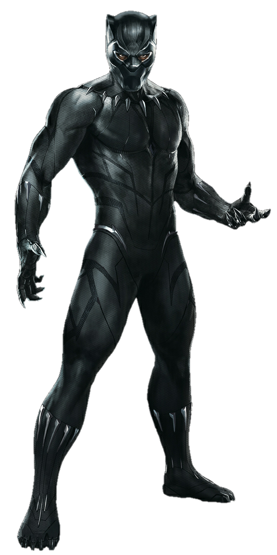 Download PNG image - Black Panther Movie PNG Isolated Photos 