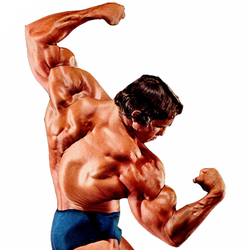 Download PNG image - Bodybuilding PNG Image 