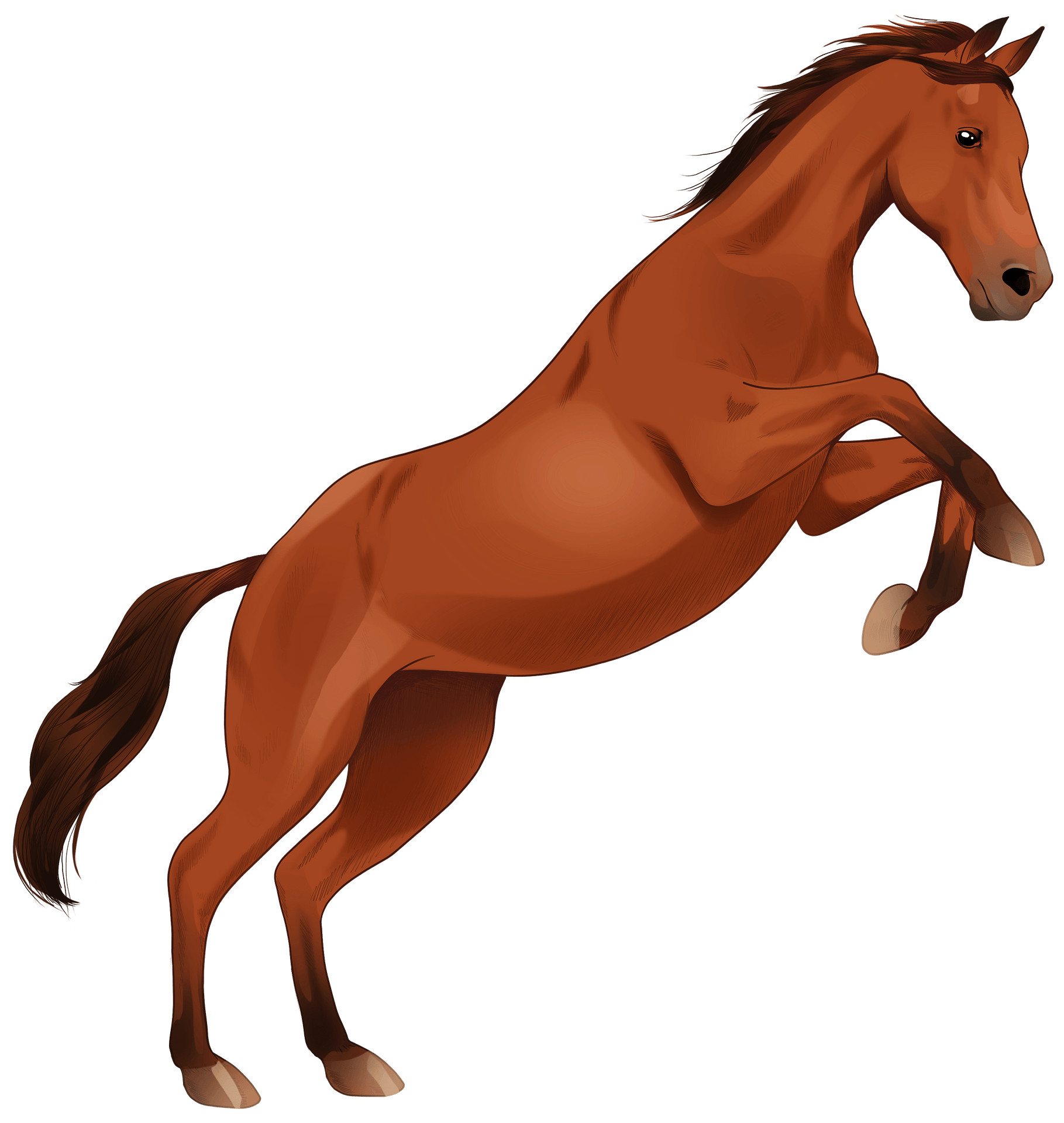 Download PNG image - Brown Arabian Horse Transparent PNG 
