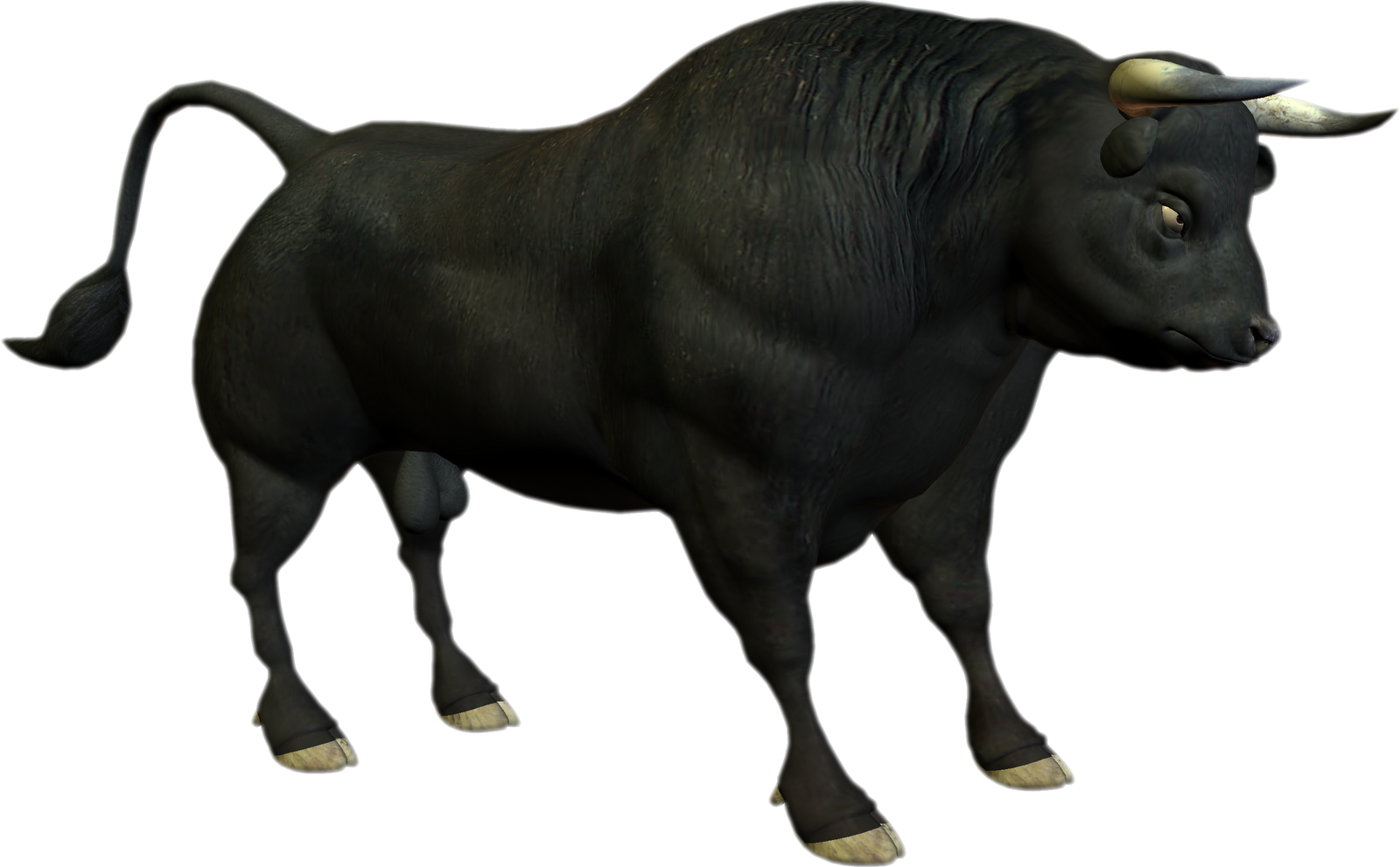 Download PNG image - Bull PNG Photo 