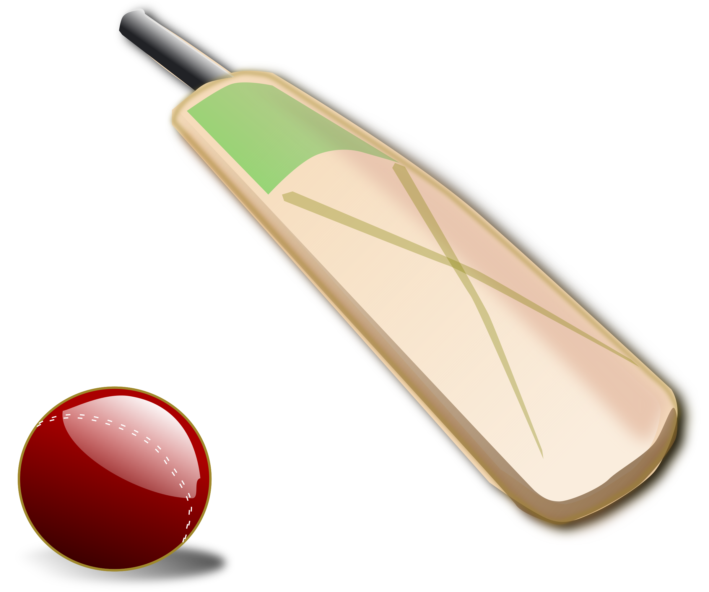 Download PNG image - Cricket PNG Transparent Image 