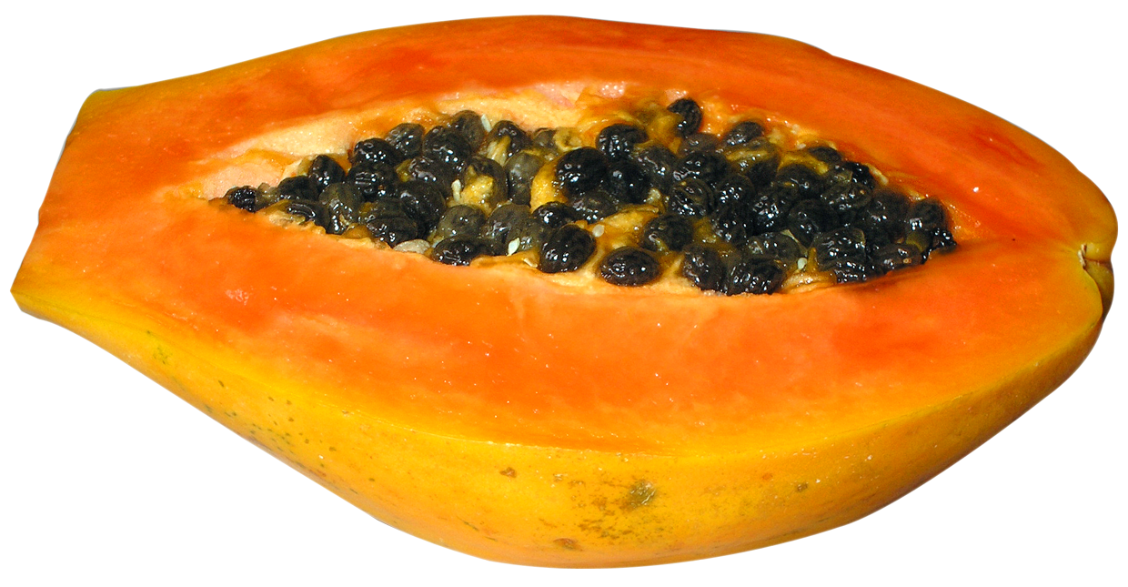 Download PNG image - Fresh Half Papaya PNG Clipart 
