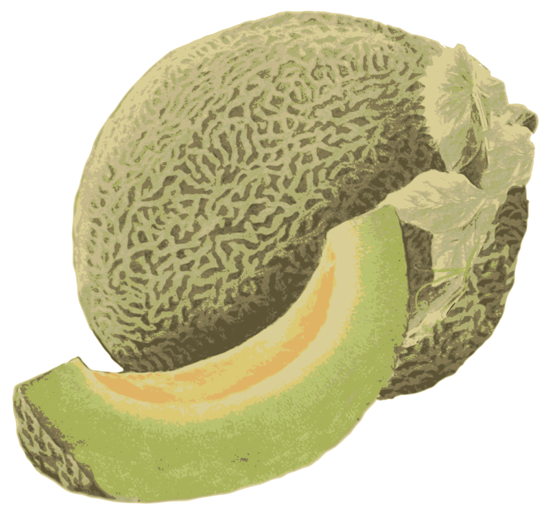 Download PNG image - Green Cantaloupe PNG Clipart 