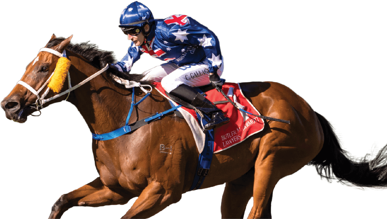 Download PNG image - Horse Racing PNG Pic 