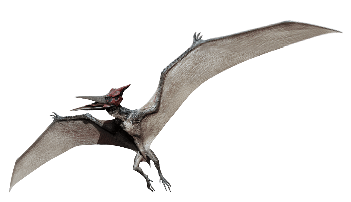 Download PNG image - Pterosaurs PNG HD 