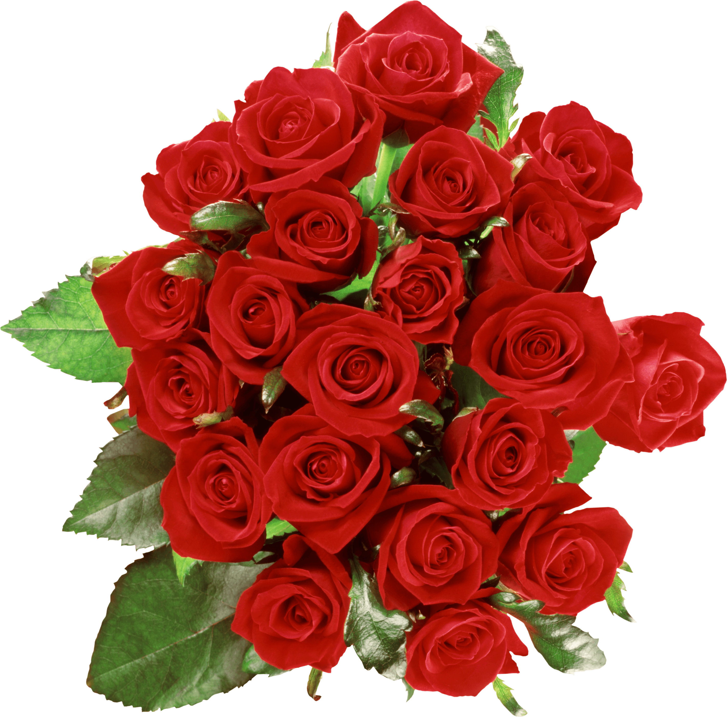 Download PNG image - Red Rose Bouquet PNG Clipart 