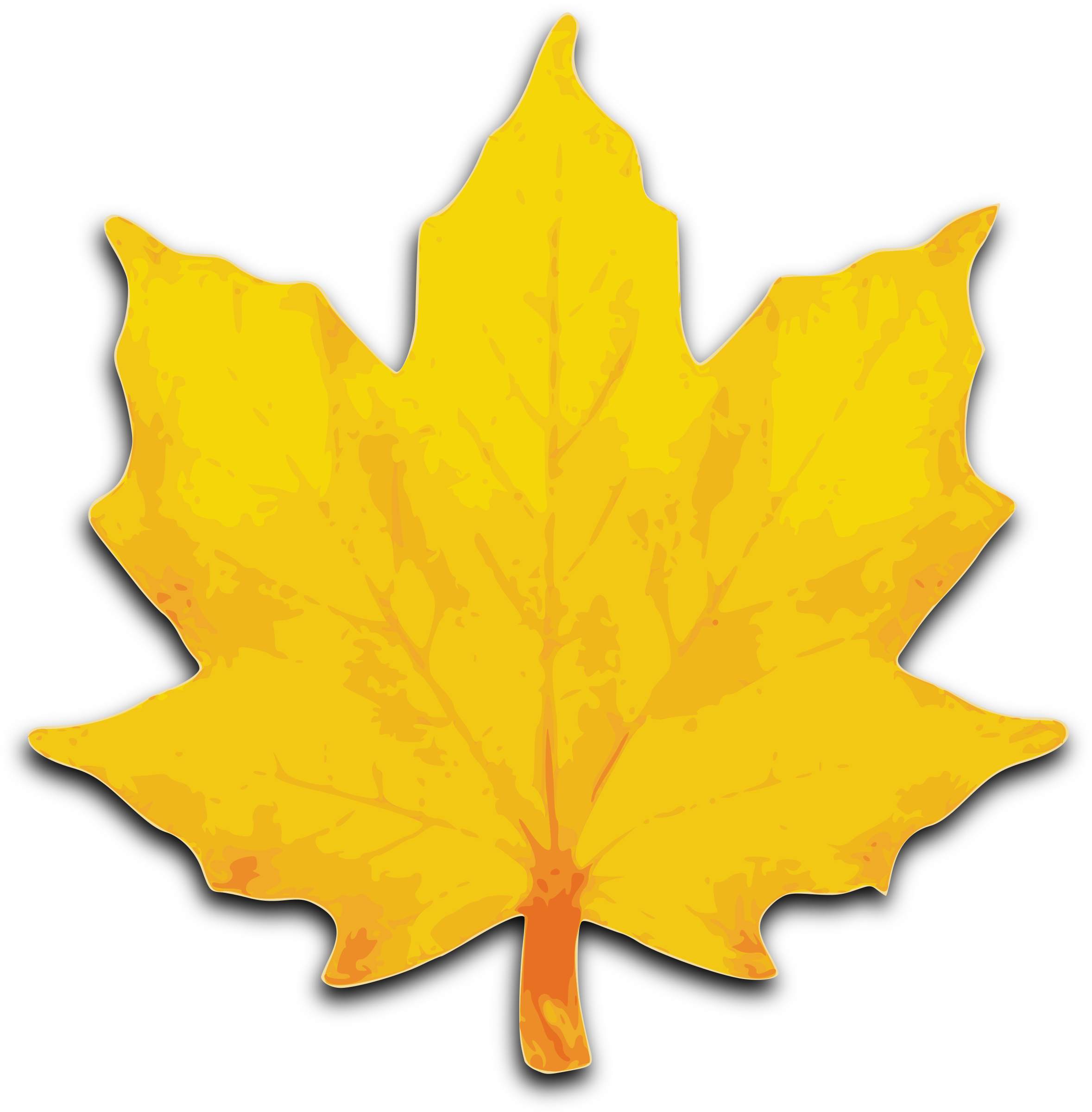 Download PNG image - Vector Autumn Leaf PNG Transparent Picture 