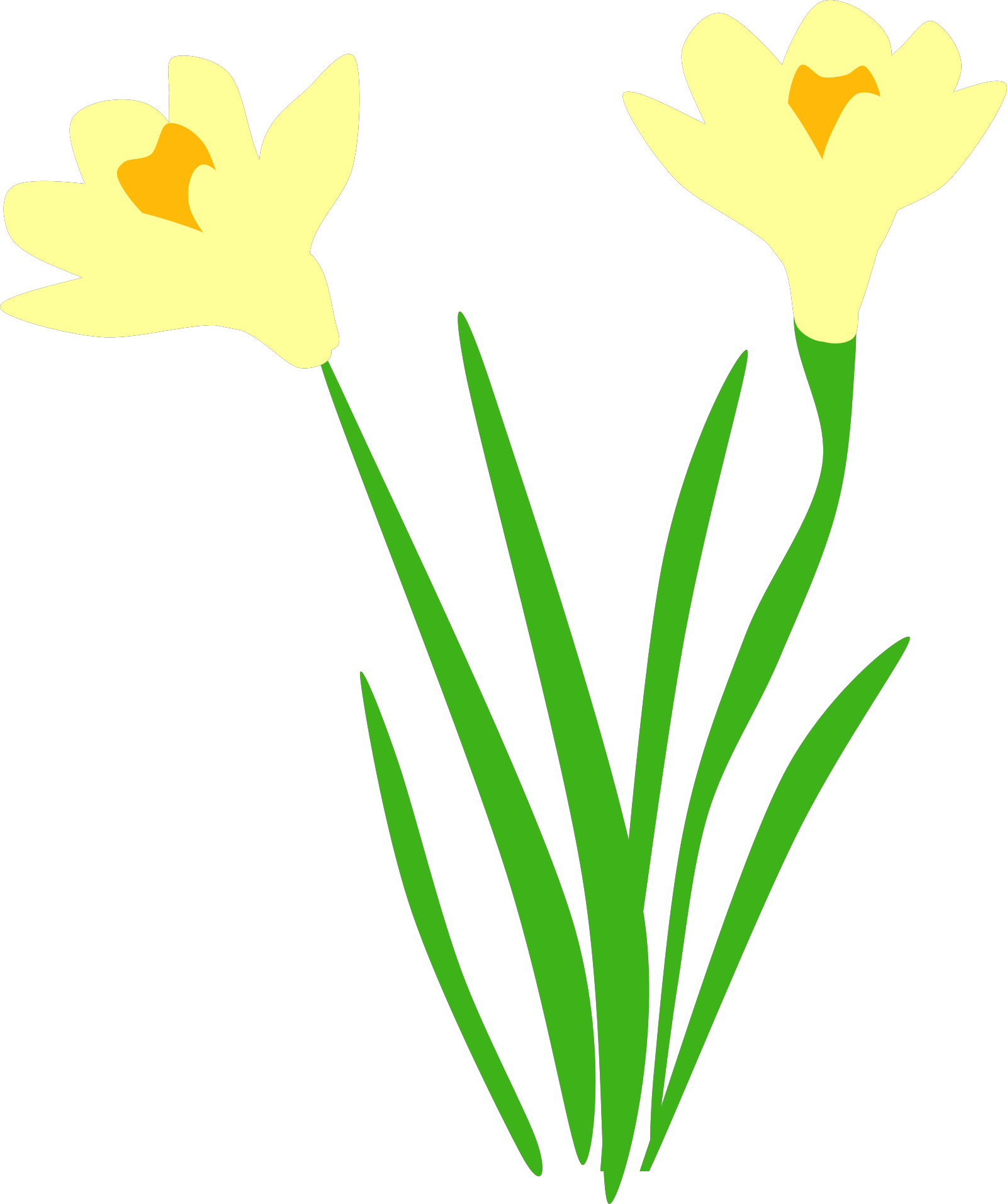 Download PNG image - Yellow Daffodil Transparent PNG 