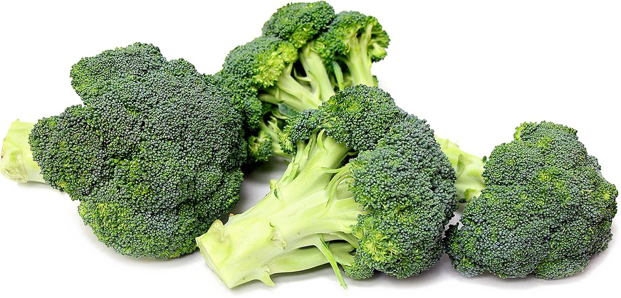Download PNG image - Broccoli PNG Transparent 