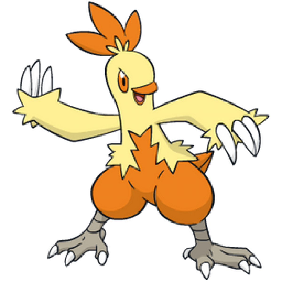 Download PNG image - Combusken Pokemon PNG Isolated HD 