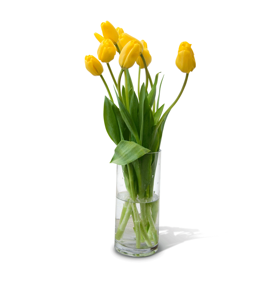 Download PNG image - Flower Vase PNG Free Download 