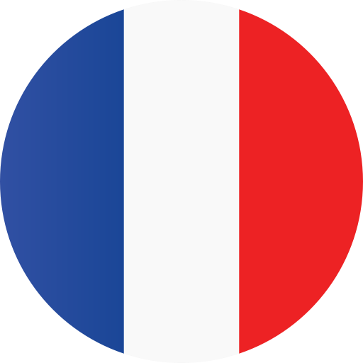 Download PNG image - France Flag PNG Transparent Image 