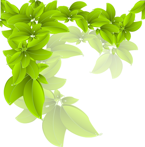 Download PNG image - Organic Green Leaves Transparent Background 