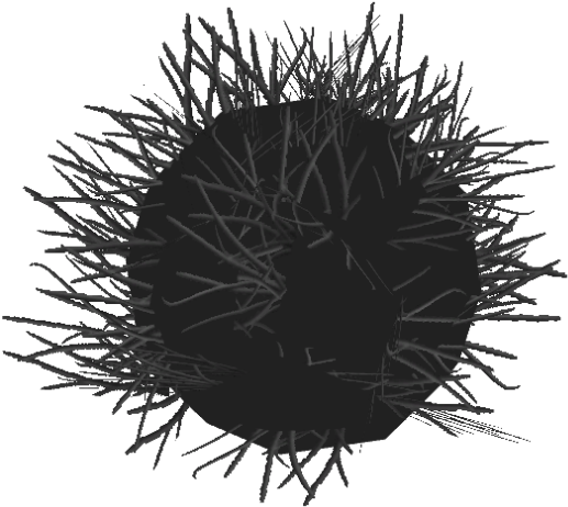 Download PNG image - Sea Urchin PNG Isolated Photo 