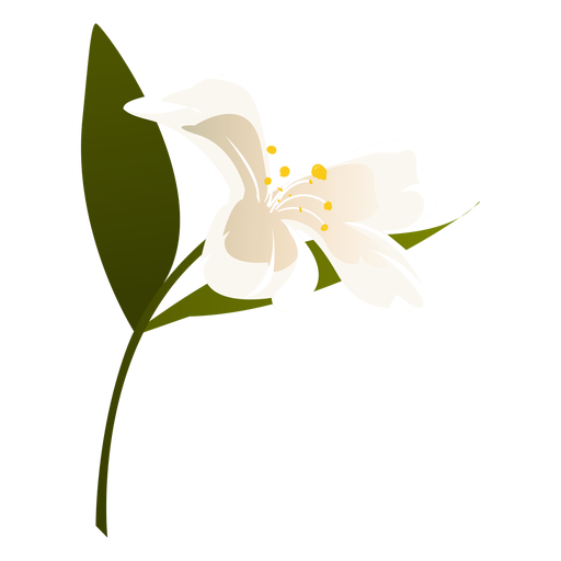 Download PNG image - Snowdrop PNG Free Download 