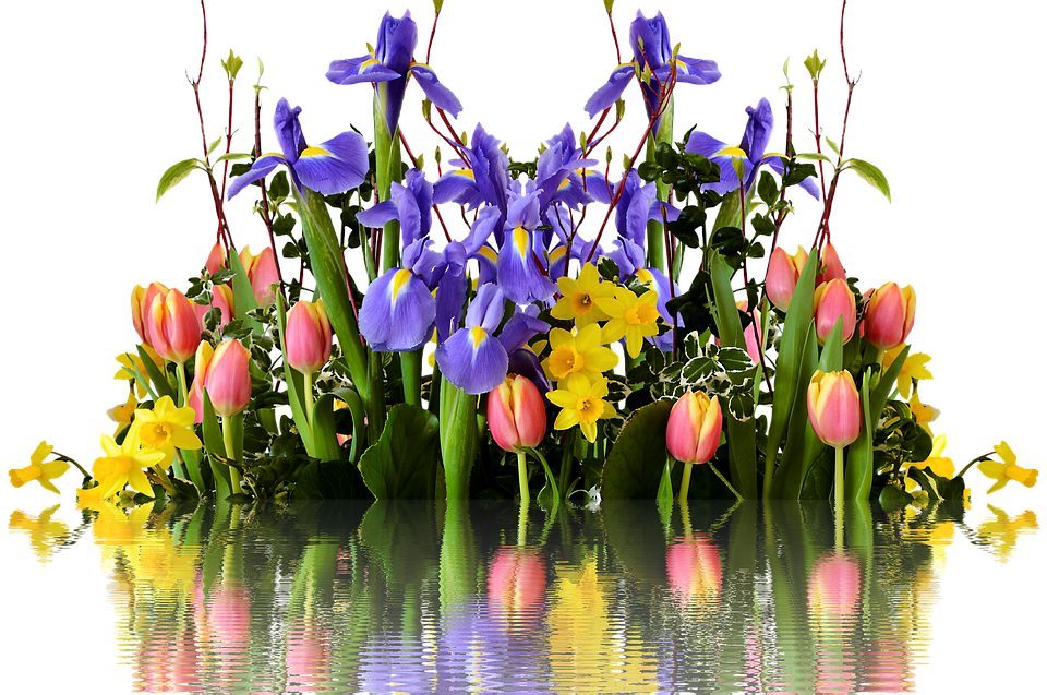 Download PNG image - Spring Flower Transparent PNG 