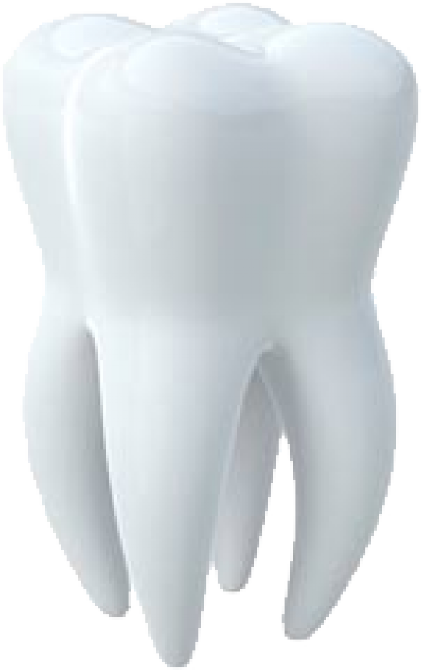 Download PNG image - White Tooth PNG Picture 