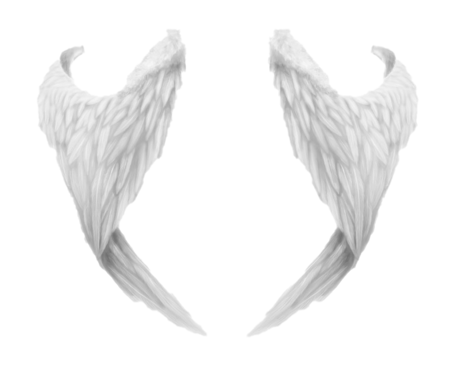 Download PNG image - Angel Wings PNG File 