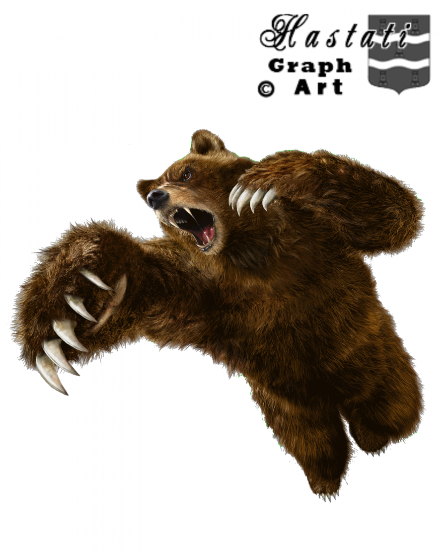 Download PNG image - Angry Bear Download PNG Image 