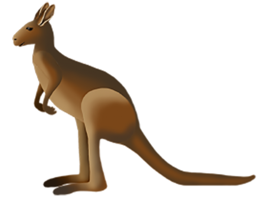 Download PNG image - Australia Kangaroo PNG Clipart 