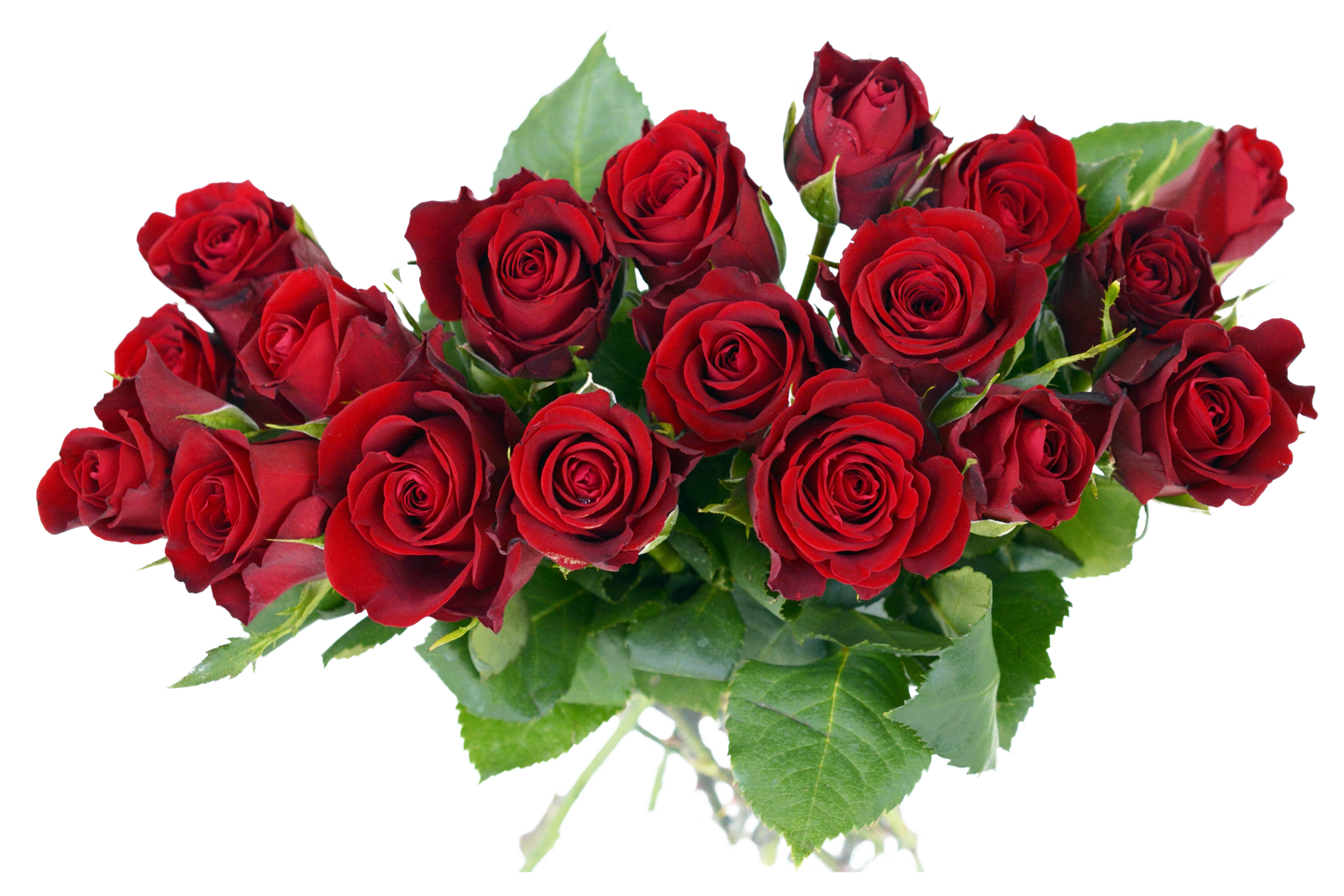 Download PNG image - Fresh Rose Bouquet Transparent PNG 