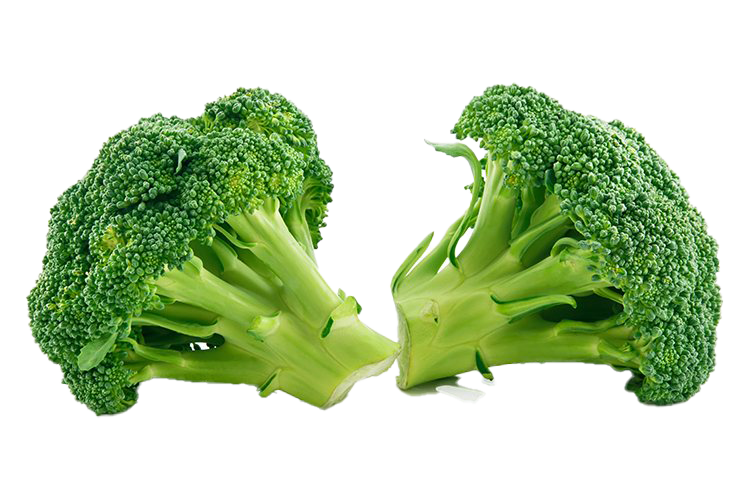 Download PNG image - Green Broccoli PNG Clipart 