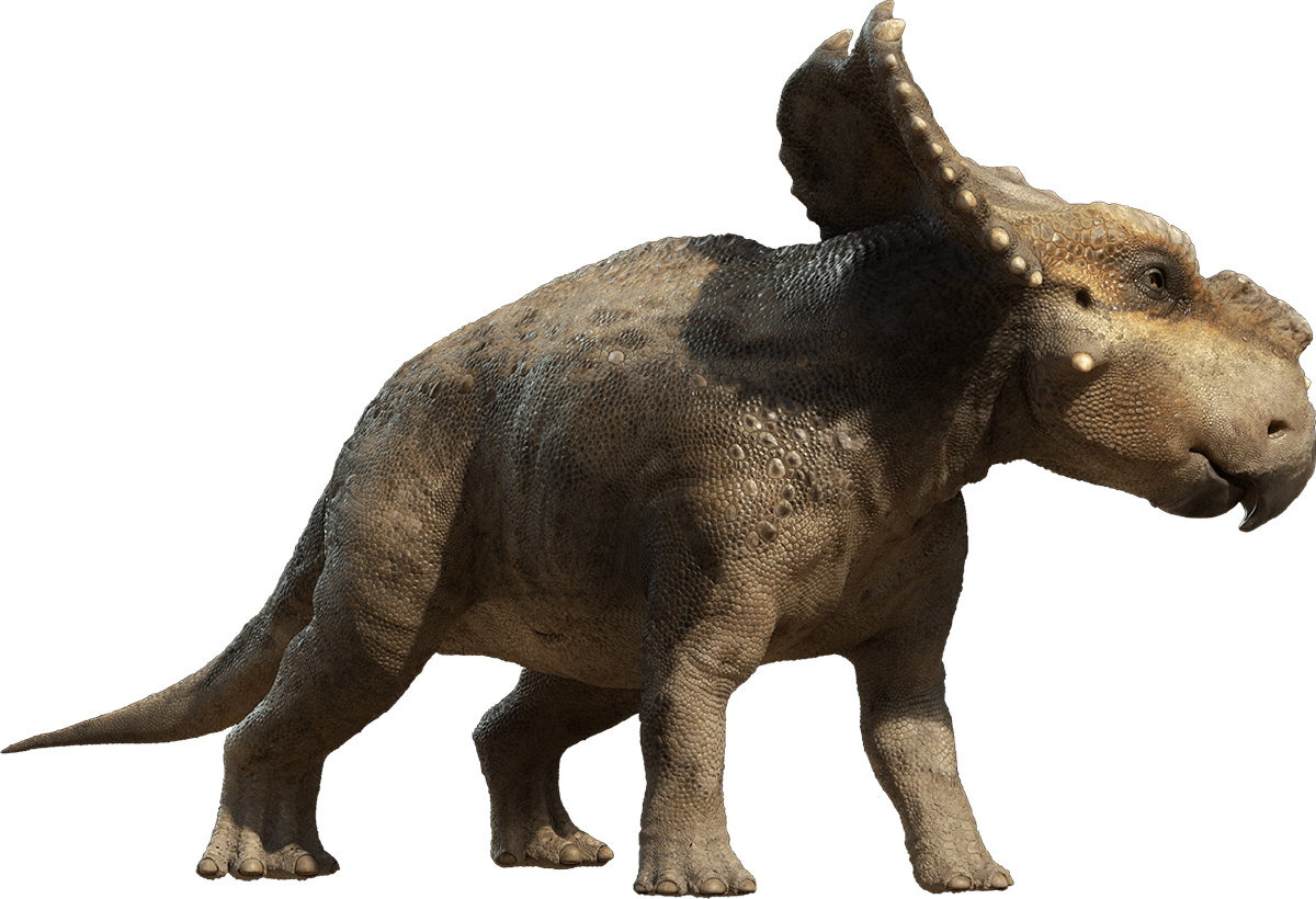 Download PNG image - Triceratop PNG Photos 