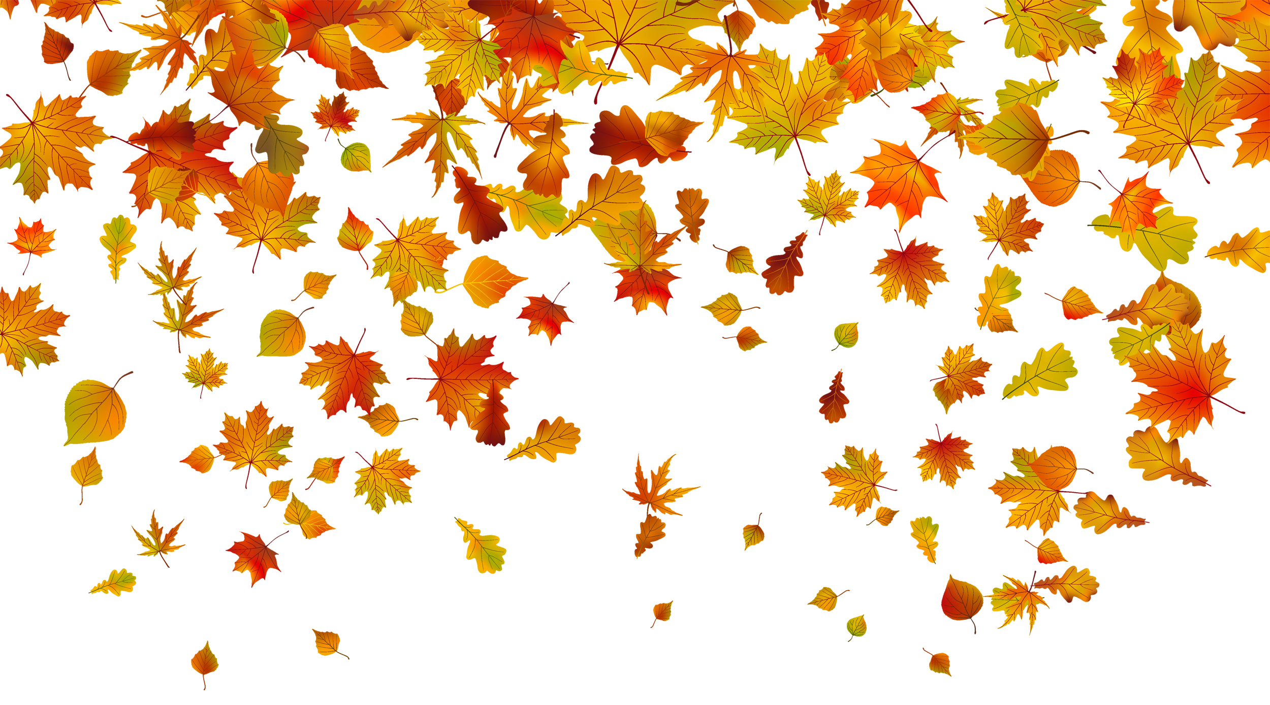 Download PNG image - Vector Autumn Leaf Falling PNG Photo 