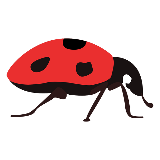 Download PNG image - Vector Ladybug Insect PNG Clipart 