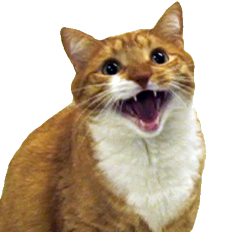 Download PNG image - Angry Cat Download PNG Image 
