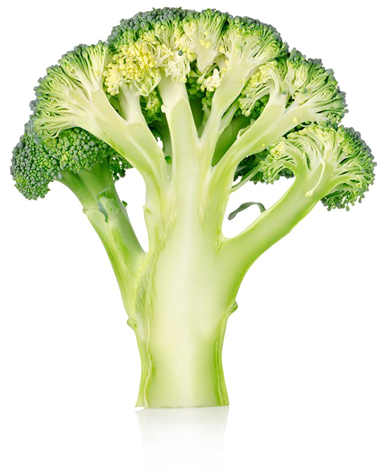Download PNG image - Broccoli PNG No Background 