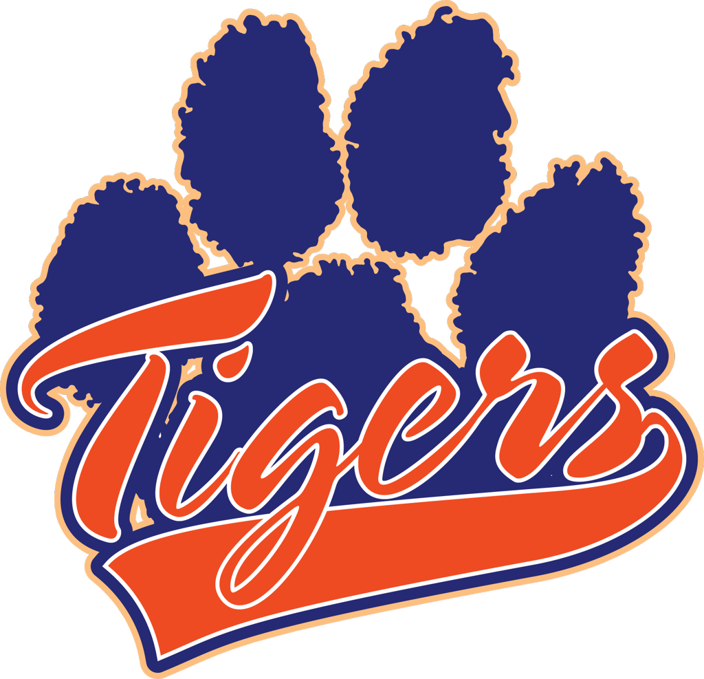 Download PNG image - Detroit Tigers Transparent PNG 