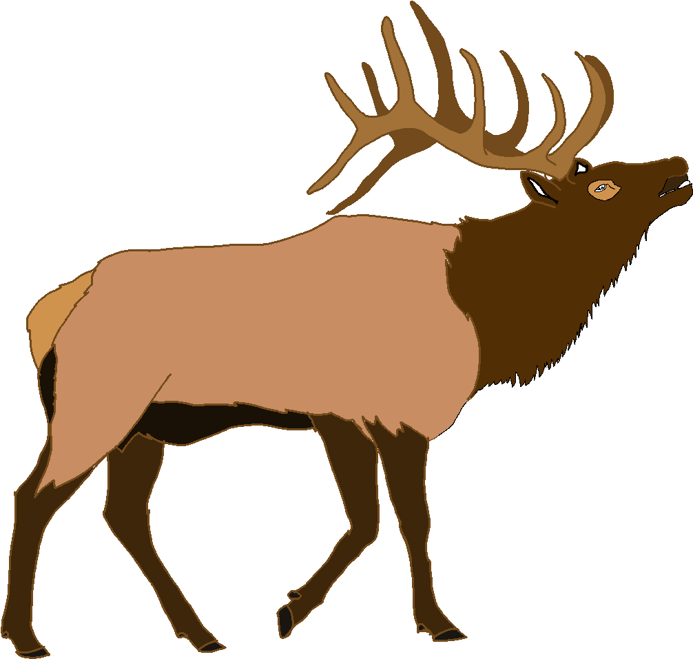 Download PNG image - Elk PNG Isolated Picture 