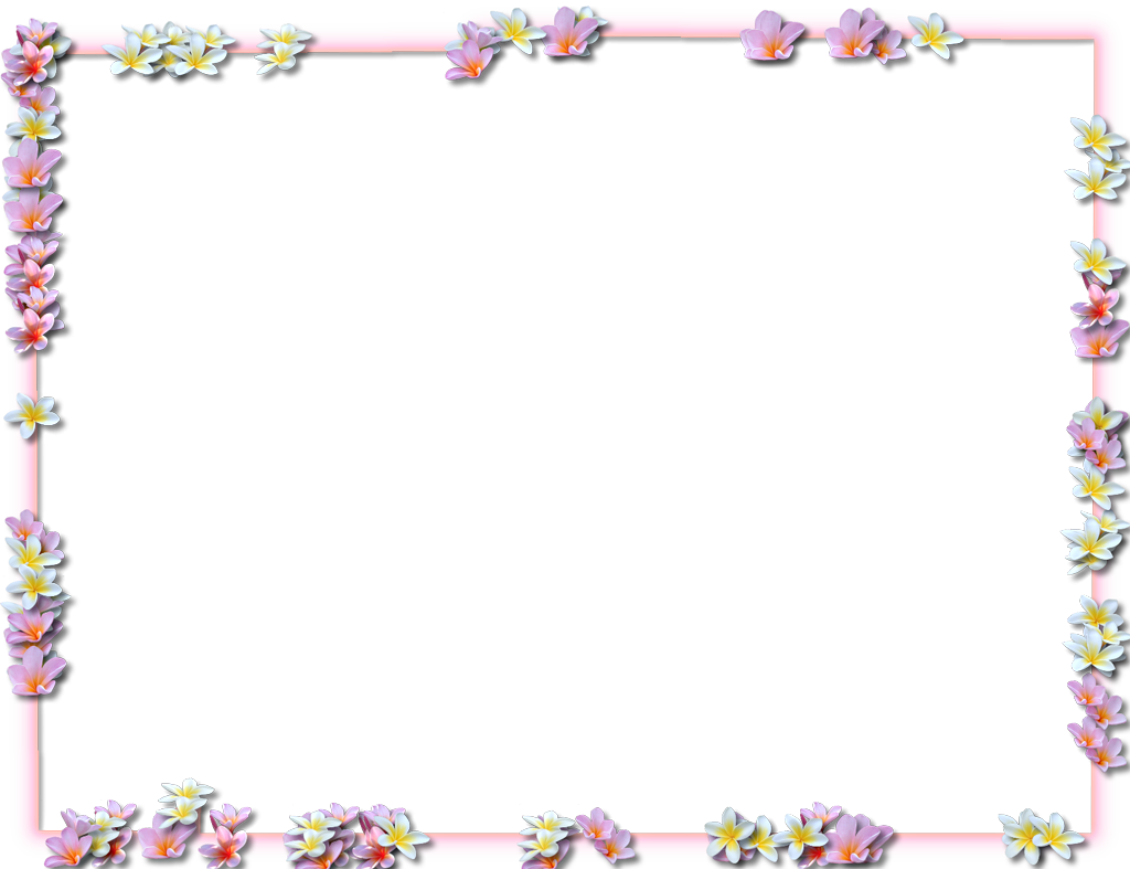 Download PNG image - Flower Border Transparent Isolated PNG 