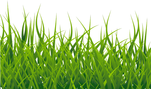 Download PNG image - Grass Vector PNG File 