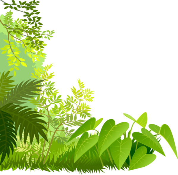 Download PNG image - Jungle Border PNG Isolated Pic 