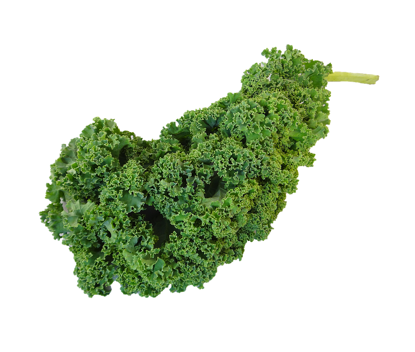 Download PNG image - Kale PNG Clipart 
