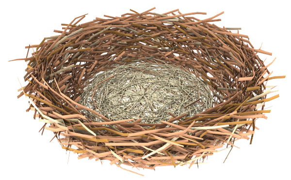 Download PNG image - Nest PNG Clipart 