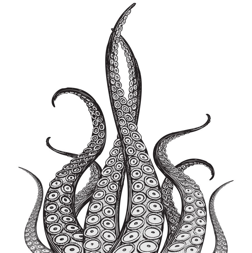 Download PNG image - Octopus Tentacles PNG Pic 