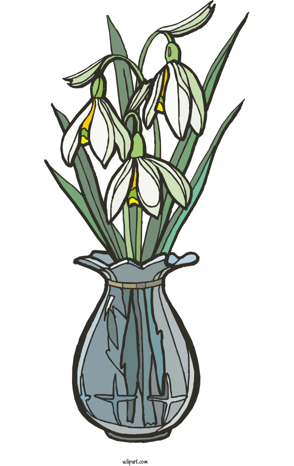 Download PNG image - Snowdrop PNG Isolated HD 