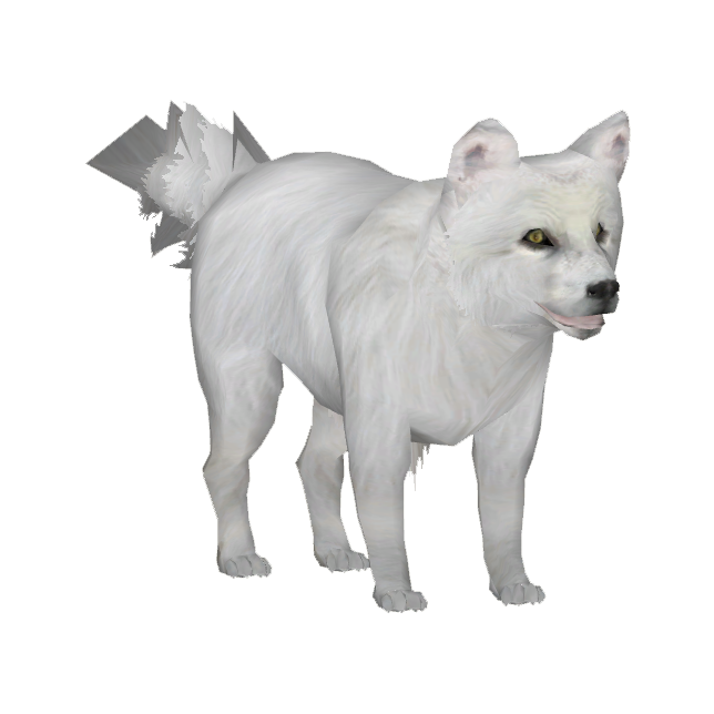 Download PNG image - White Arctic Fox PNG Transparent Picture 