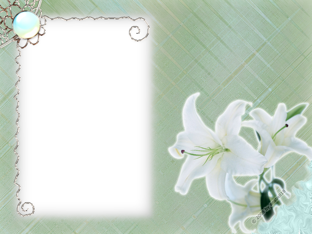 Download PNG image - White Flower Frame PNG Transparent 
