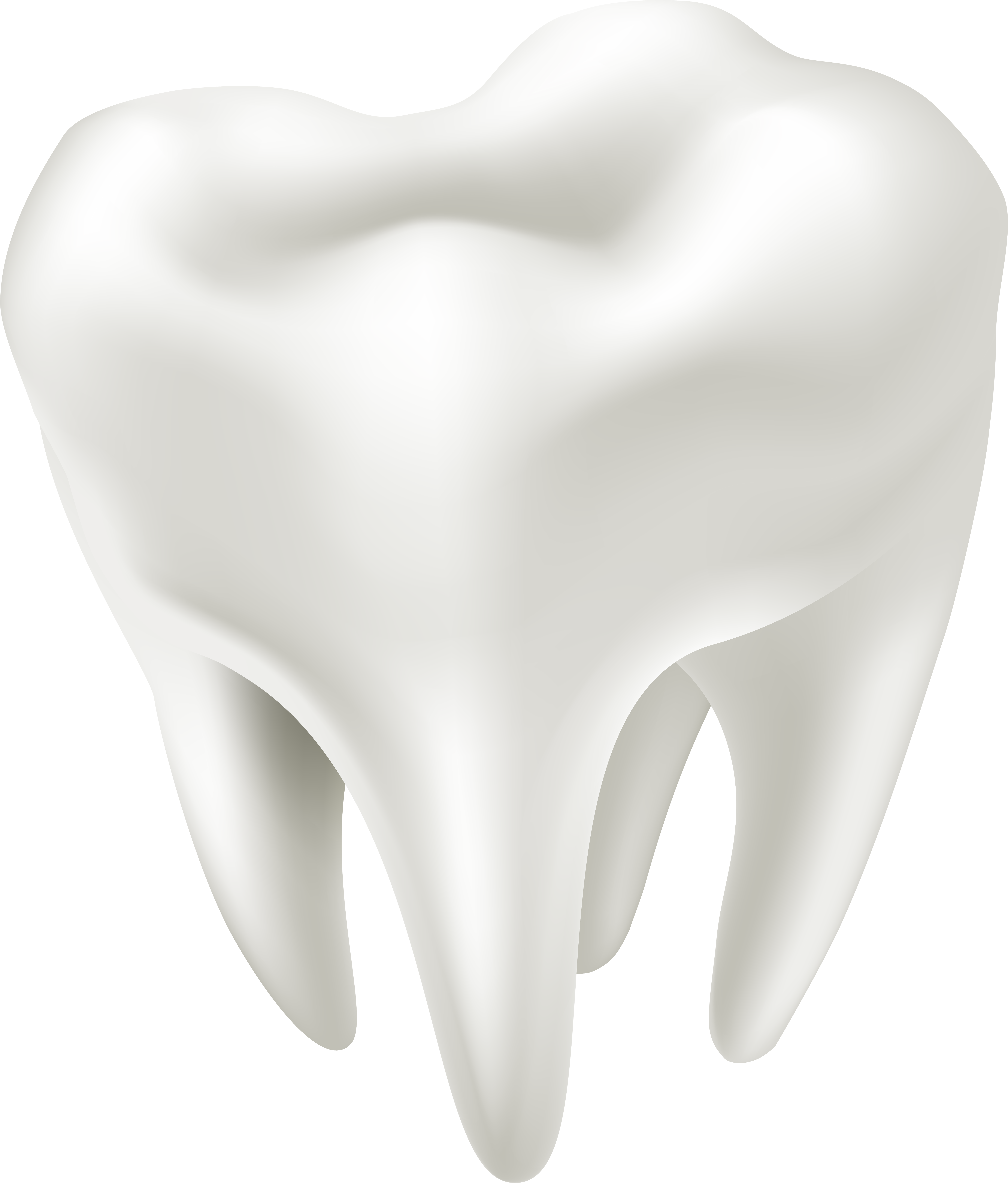 Download PNG image - White Tooth Transparent PNG 