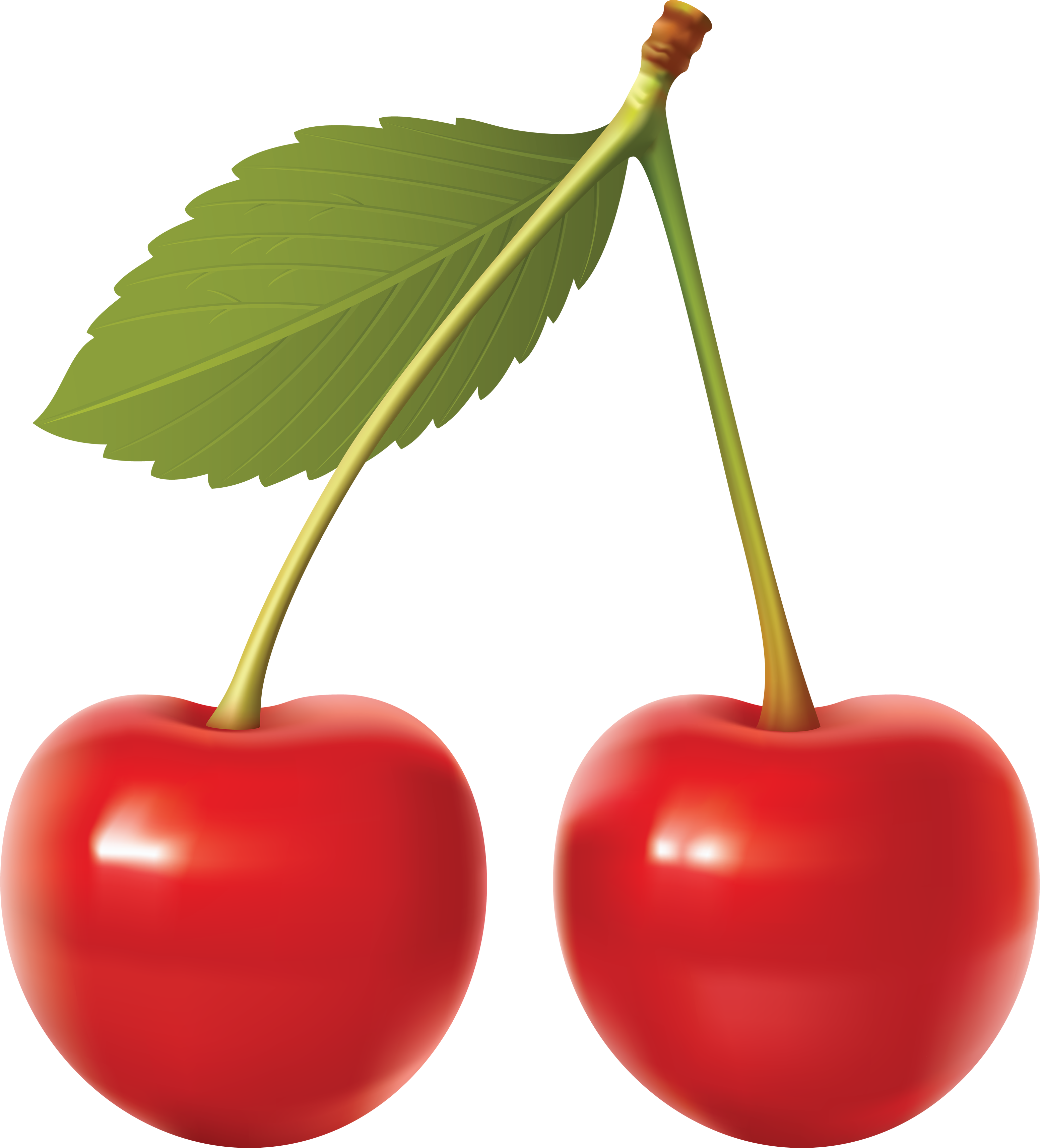 Download PNG image - Cherry Vector PNG File 