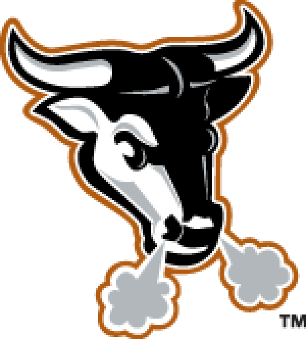 Download PNG image - Durham Bulls PNG File 