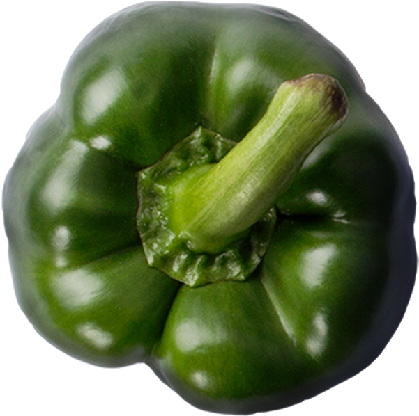 Download PNG image - Fresh Green Bell Pepper PNG Image 