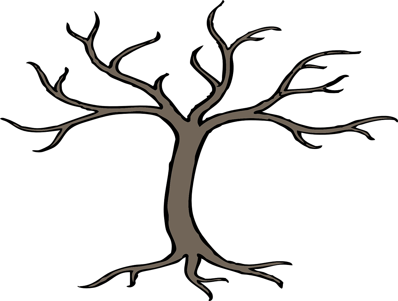 Download PNG image - Root PNG Transparent Picture 