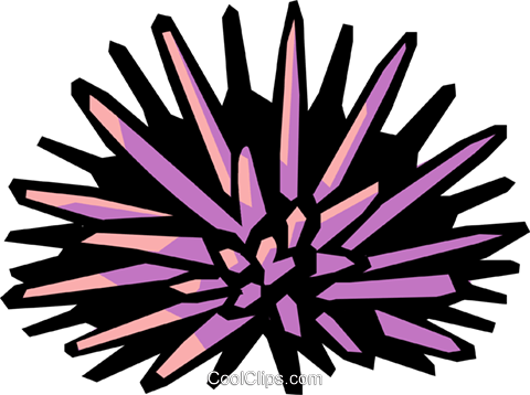 Download PNG image - Sea Urchin Download PNG Image 