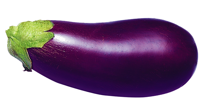 Download PNG image - Single Brinjal Eggplant PNG Image 